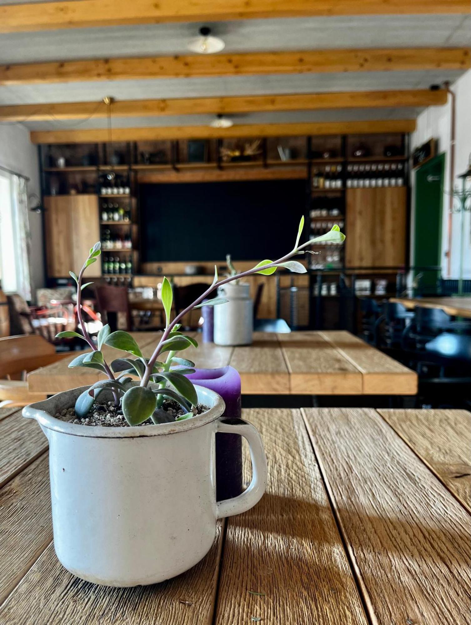 Penzion A Bistro Stary Kopec Znojmo Luaran gambar